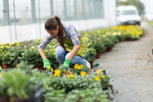 Garden maintenance in Old Oak Common with tidy lawn and borders