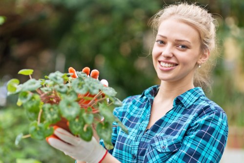 Healthy residential lawn care in Old Oak Common
