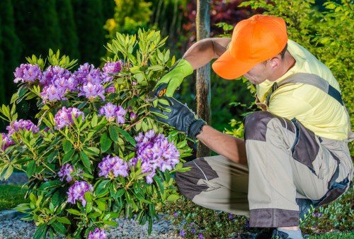 Professional garden maintenance in Old Oak Common