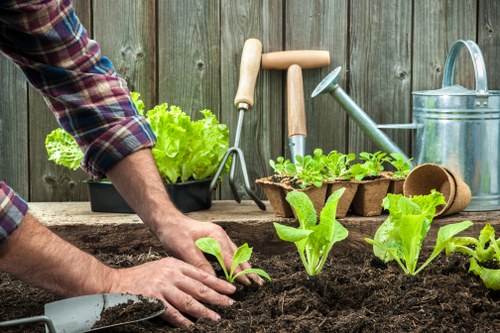 Gardening services in Old Oak Common for tidy residential outdoor spaces