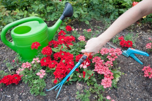 Professional landscaping in Old Oak Common with paving and greenery
