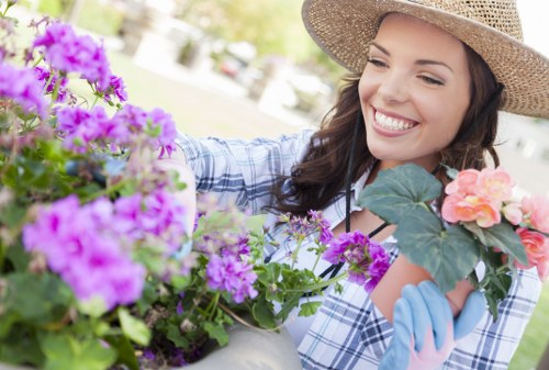 Professional garden maintenance in Old Oak Common with lawn and hedge care