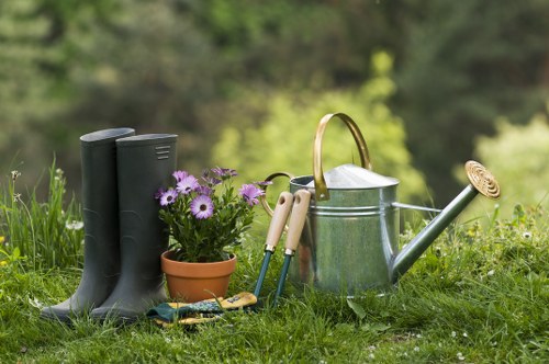 Healthy outdoor space maintained by gardeners in Old Oak Common