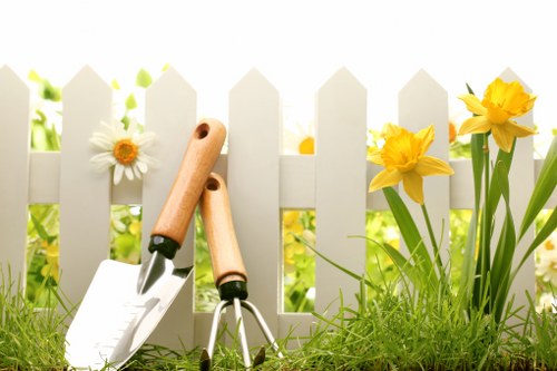 Stump grinding and tree maintenance service in Old Oak Common