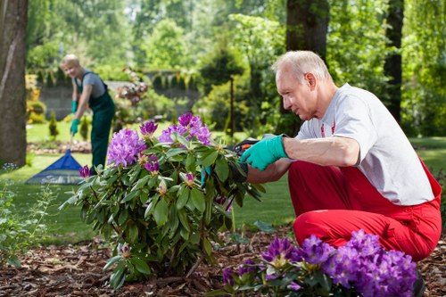 Professional gardeners assessing a site before work begins