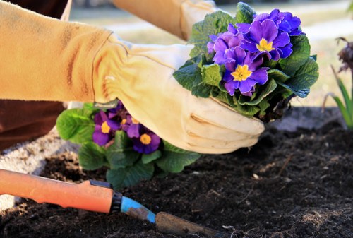 Lawn care and pruning as part of garden maintenance in Old Oak Common