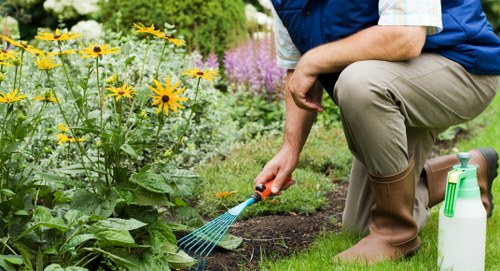 Visual for resolving gardening service concerns professionally