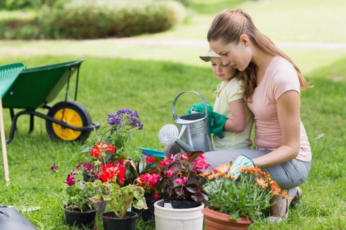 Professional mowing and edging for Old Oak Common lawns