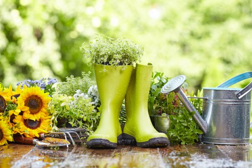 Sustainable landscape gardening in Old Oak Common with plants and lighting