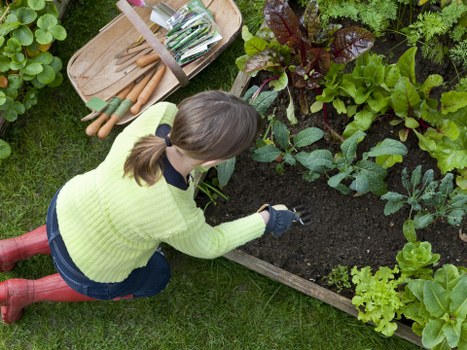 Team applying a safe and responsible gardening policy