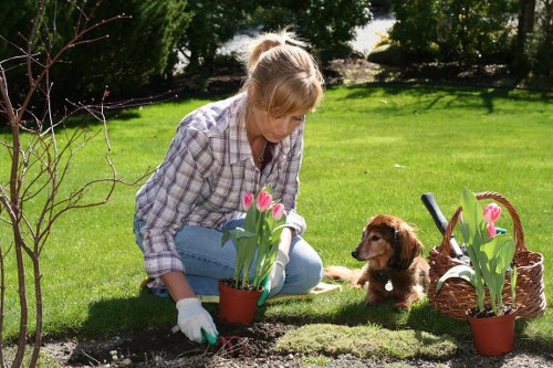 Recycling-focused gardening service in Old Oak Common
