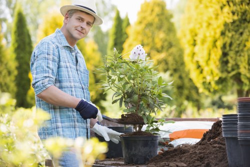 Seasonal grass maintenance in Old Oak Common garden
