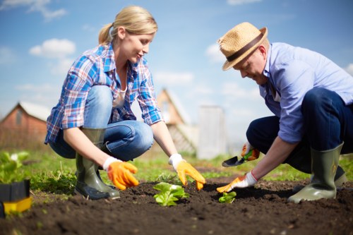 Professional garden maintenance tasks in Old Oak Common outdoor space