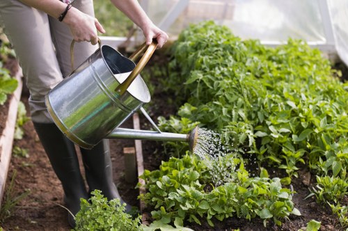 Seasonal planting and lawn care in Old Oak Common