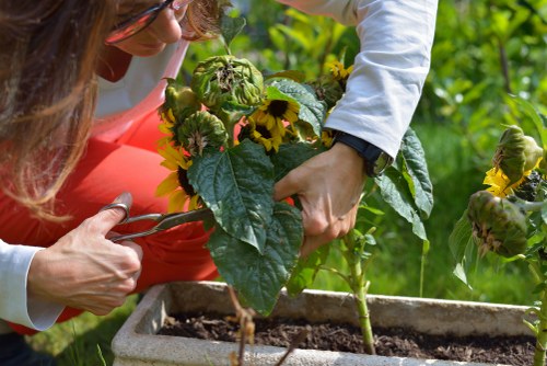 Screen-reader friendly content layout for Old Oak Common gardening pages