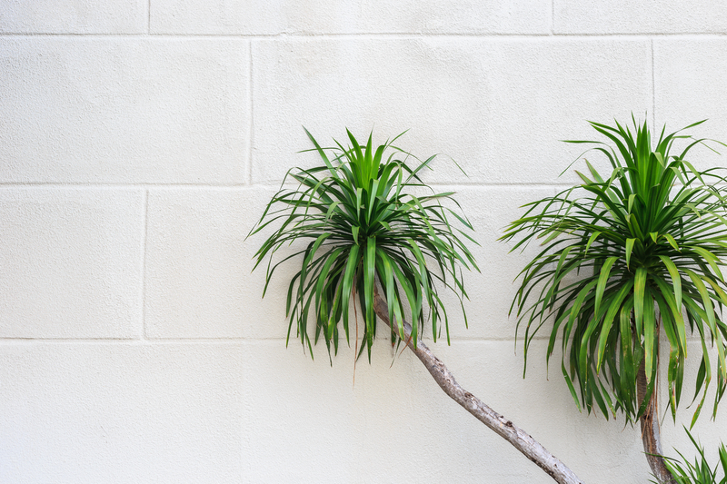 garden plants