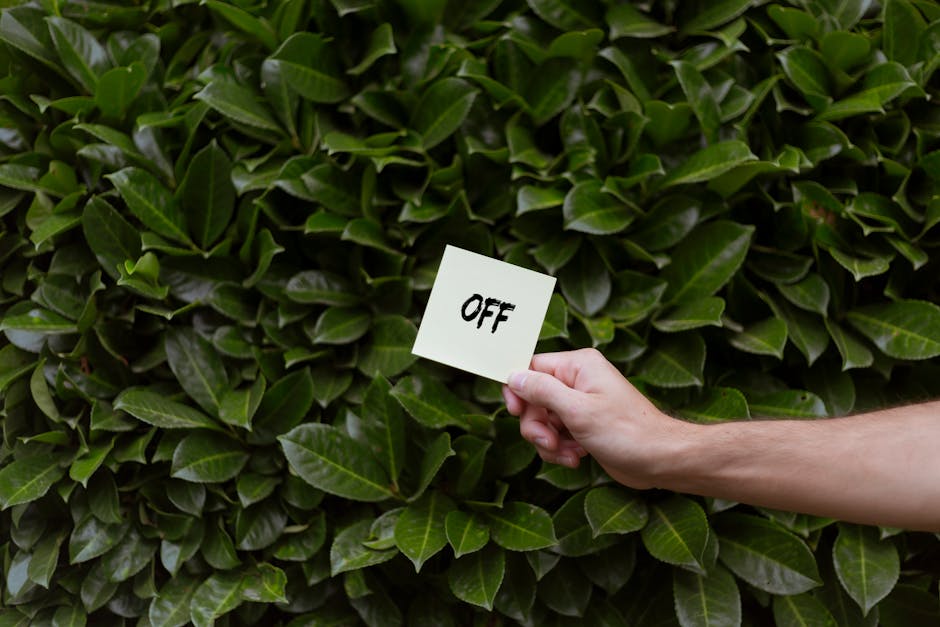 A close-up of a dense, well-maintained hedge with glossy, dark green leaves, featuring a person's hand holding a small white note card with the word 'OFF' written in black letters. The hedge appears n